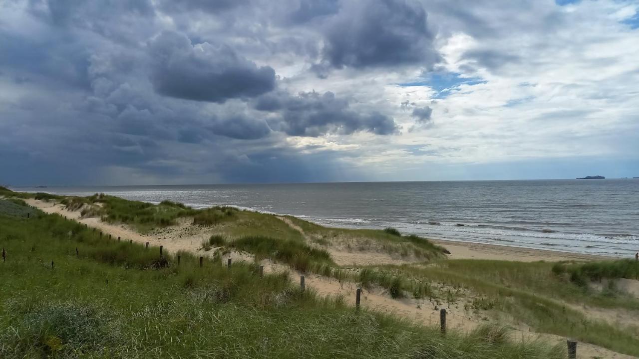 Het Zeepaartje, Knus En Gezellig Villa โนร์ดไวย์เกอร์เฮาท์ ภายนอก รูปภาพ